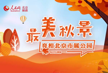 北京20个邮政服务点代开增值税发票